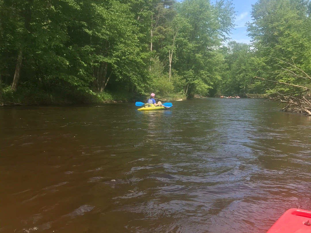 Buckley's Mountainside Canoes-Mount Pleasant必去景点