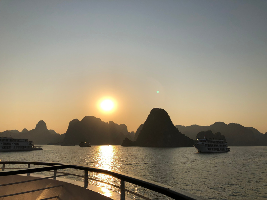 President Cruises-Ha Long City必去景点