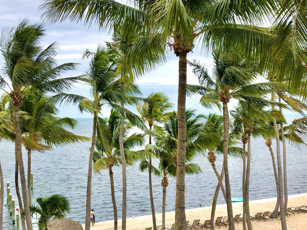 伊斯拉摩拉希尔顿恒庭旅馆&套房酒店主图