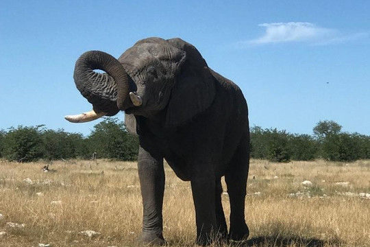 Pellagic Tours and Safaris-温德和克必去景点