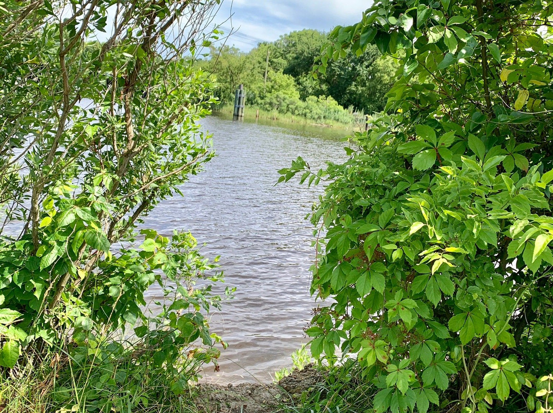 Elizabeth River Park景点图片