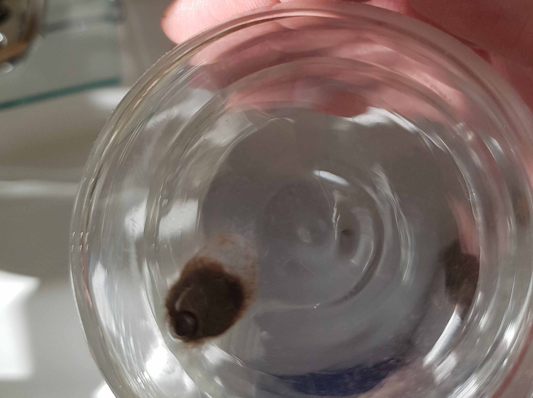 塔巴里格床和早餐主图