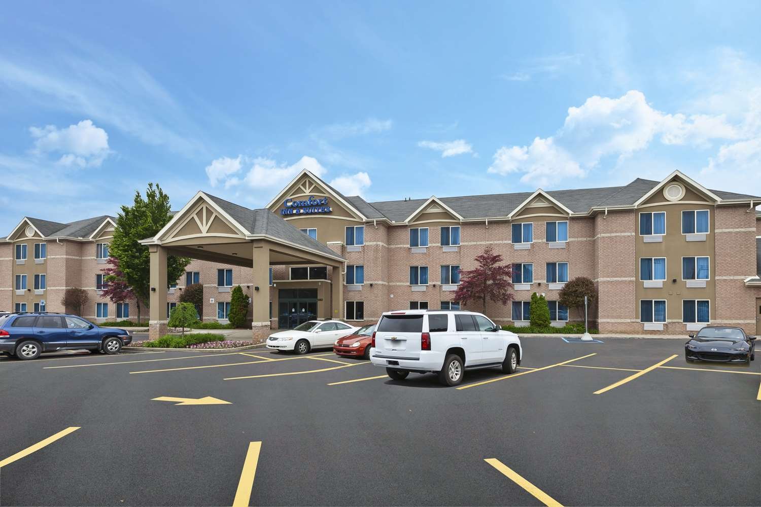 Comfort Inn & Suites-官方