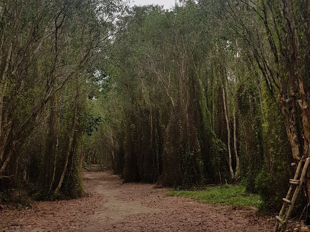 Summer Stations Homestay主图