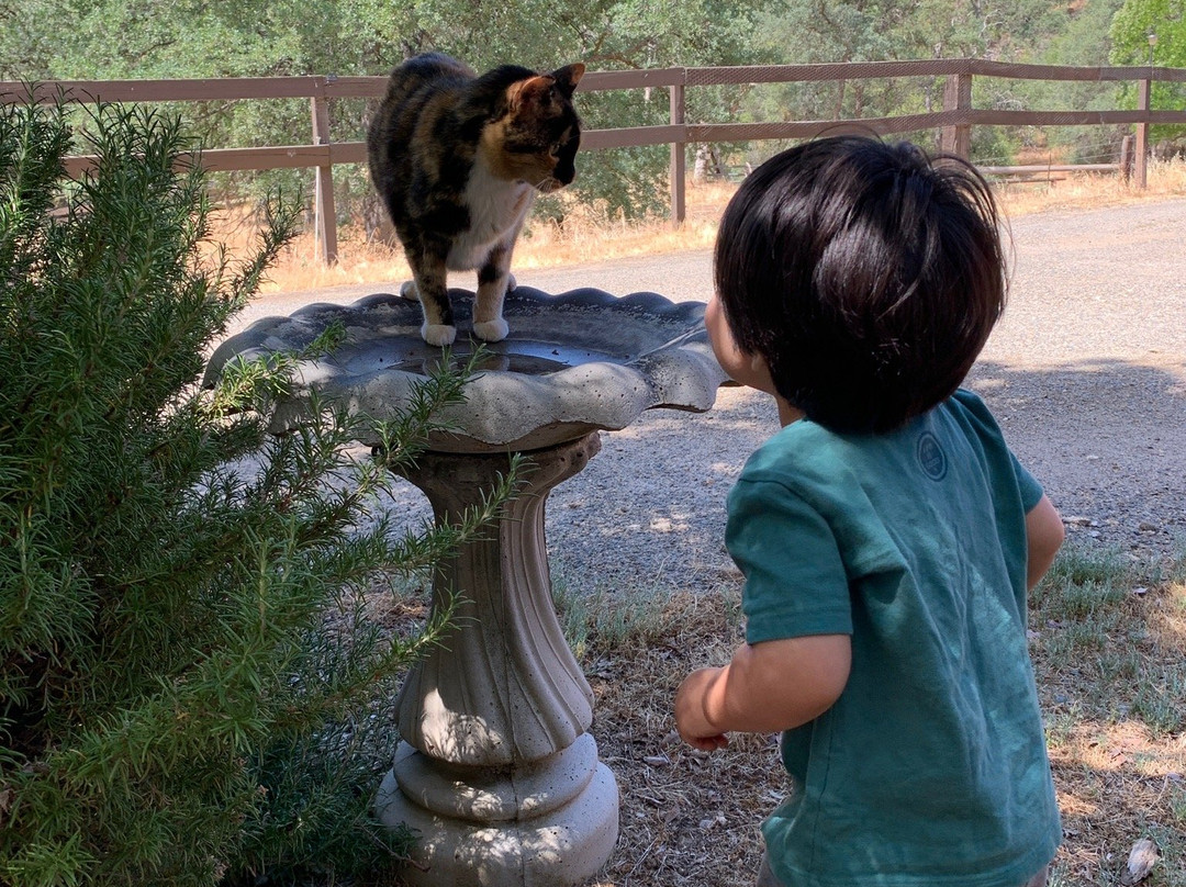 宅基地旅馆&别墅主图