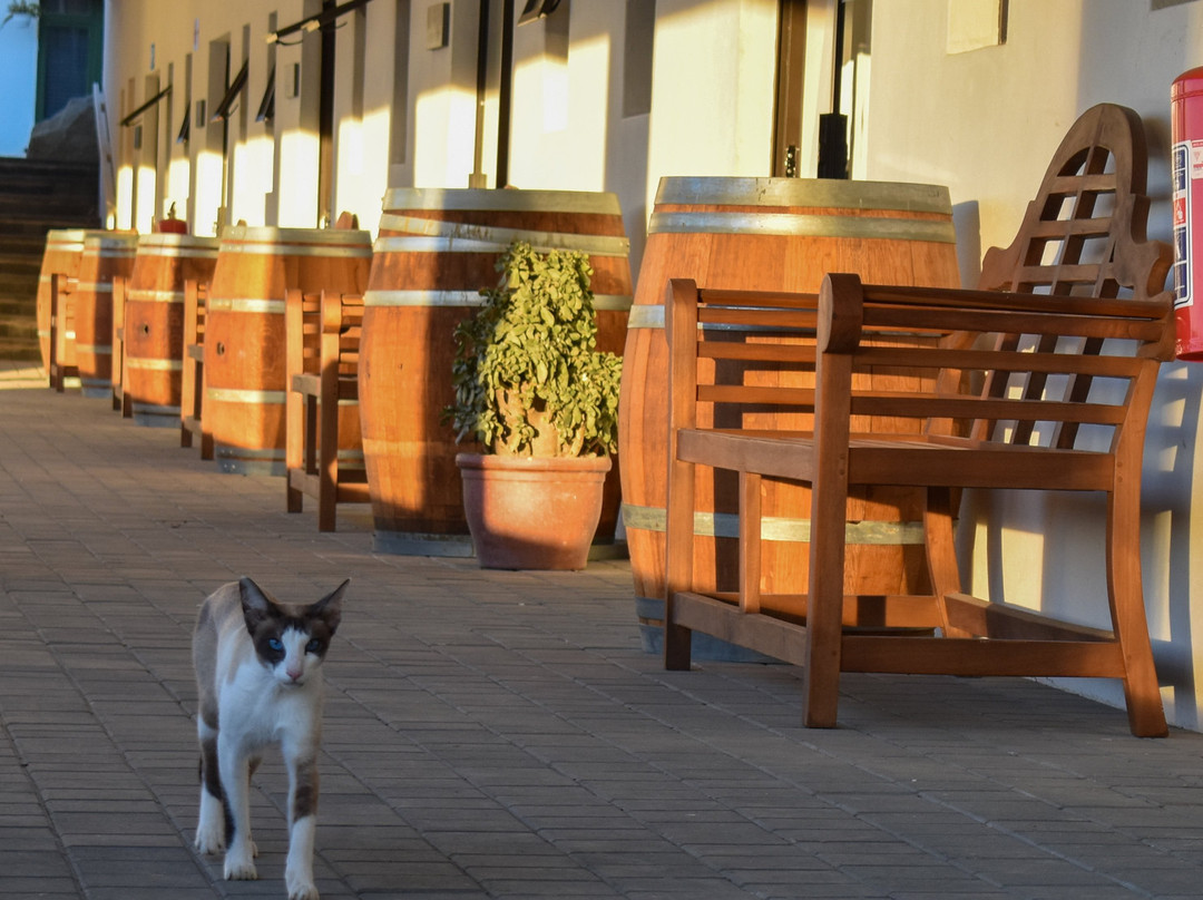 中農場帕爾賓館 Zhōng nóngchǎng pà ěr bīnguǎn主图