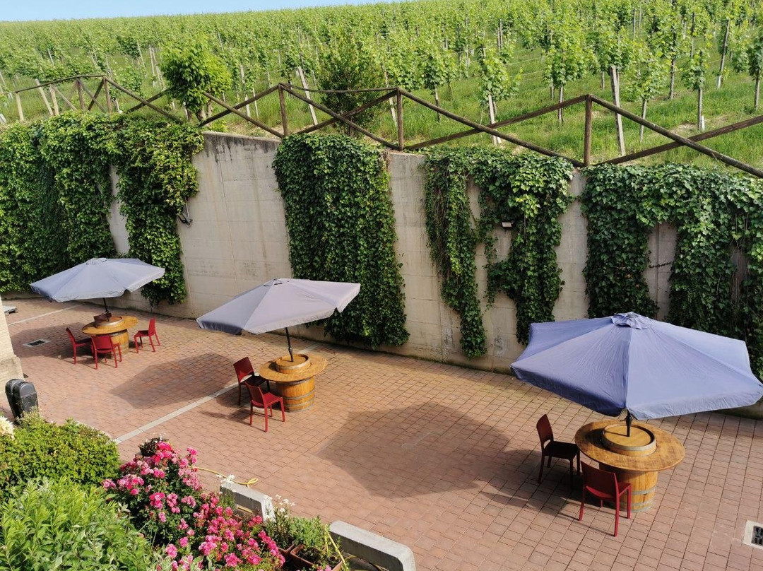 Tenuta La Pergola Cantina景点图片