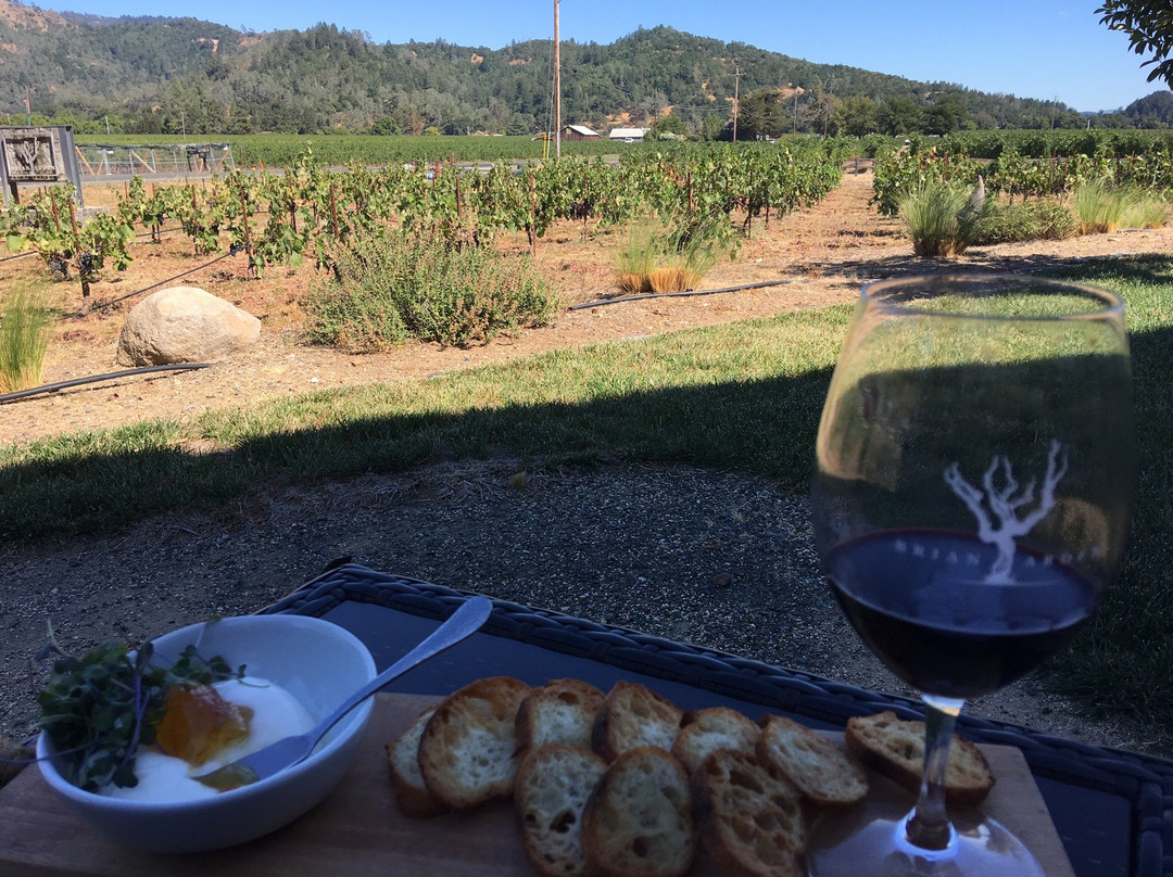 Brian Arden Winery-卡利斯托加必去景点