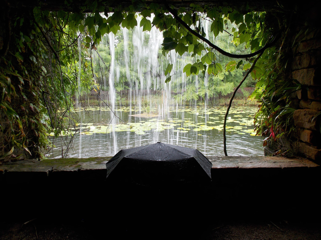 Clark Gardens Botanical Park景点图片