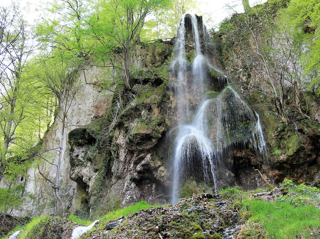 Uracher Wasserfall景点图片