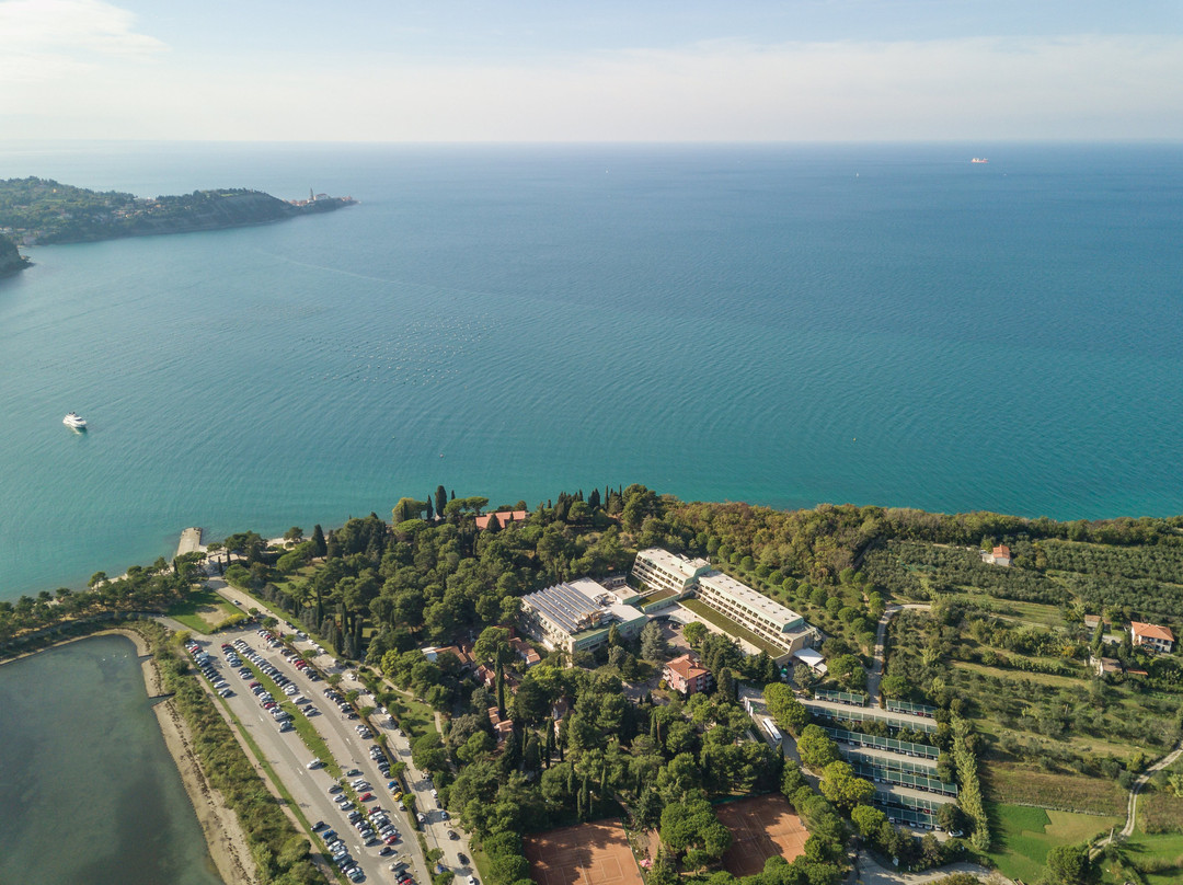 Hotel Svoboda - Terme Krka主图