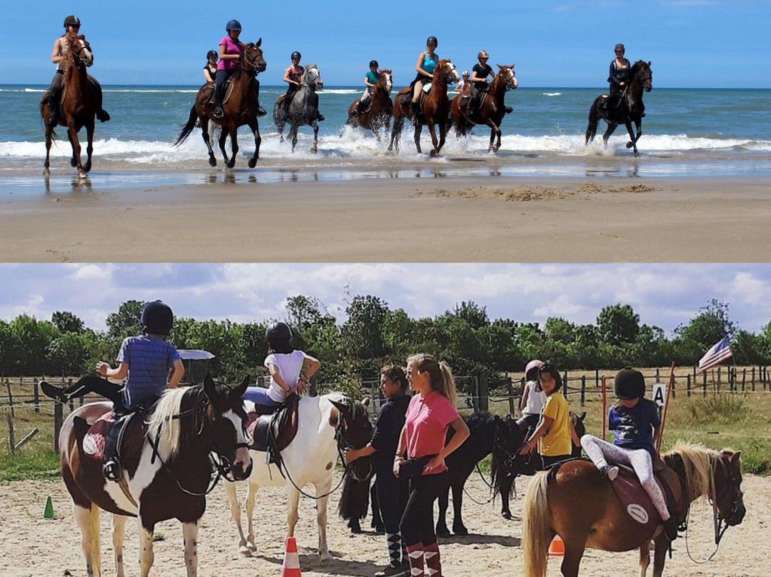 Centre de Tourisme Equestre de St Vivien景点图片