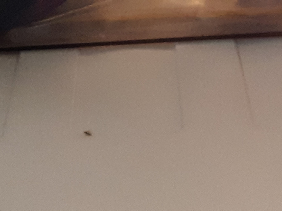 Super 8 by Wyndham Albany主图