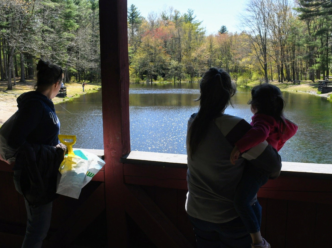 Stratton Brook State Park-锡姆斯伯里必去景点