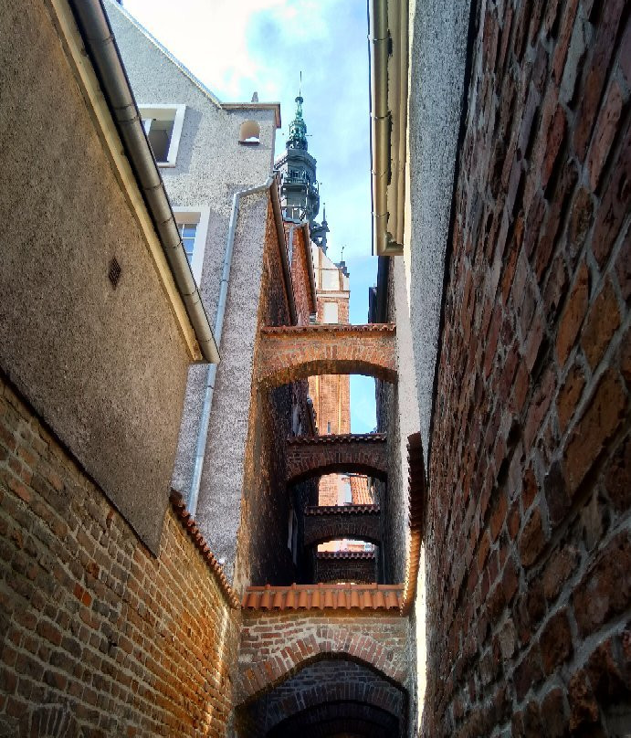 Sciezka Koscielna景点图片