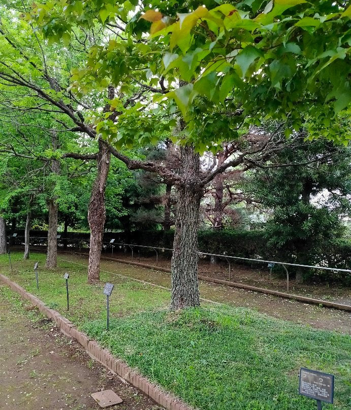 Sayama City Urban Botanical Garden-狭山市必去景点