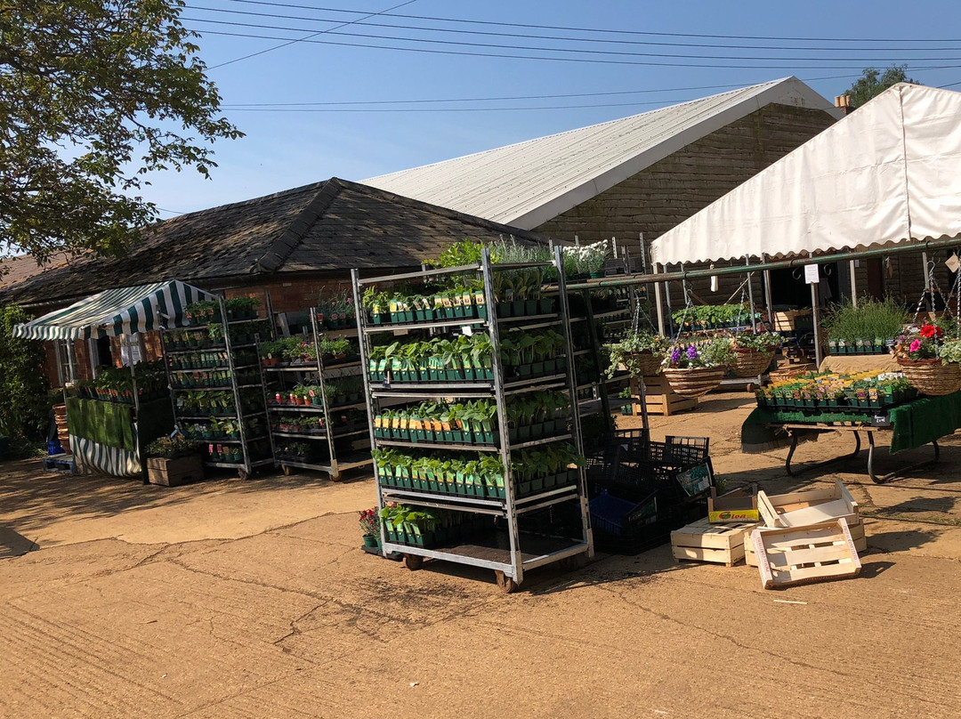 Wykham Park Farm Shop景点图片