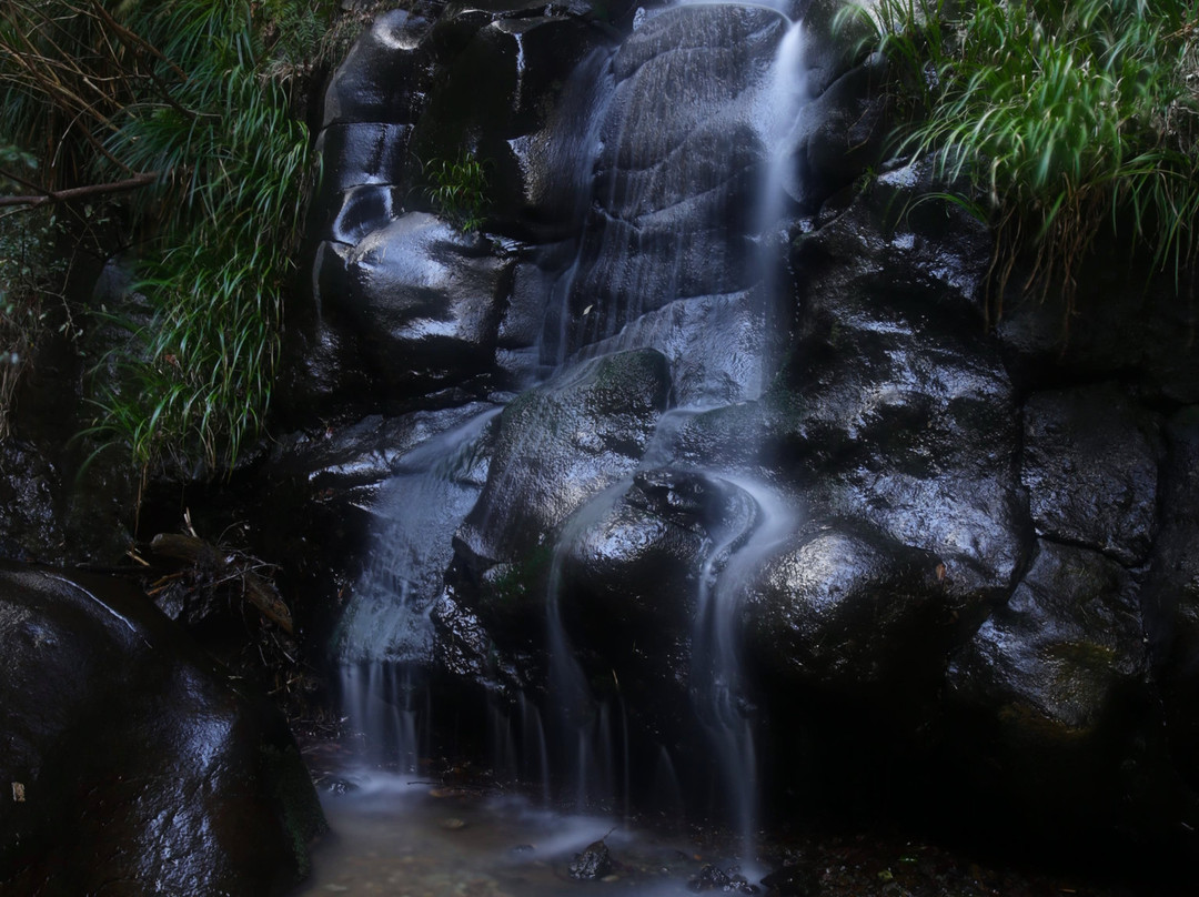 Kawazu Nanadaru Waterfalls景点图片