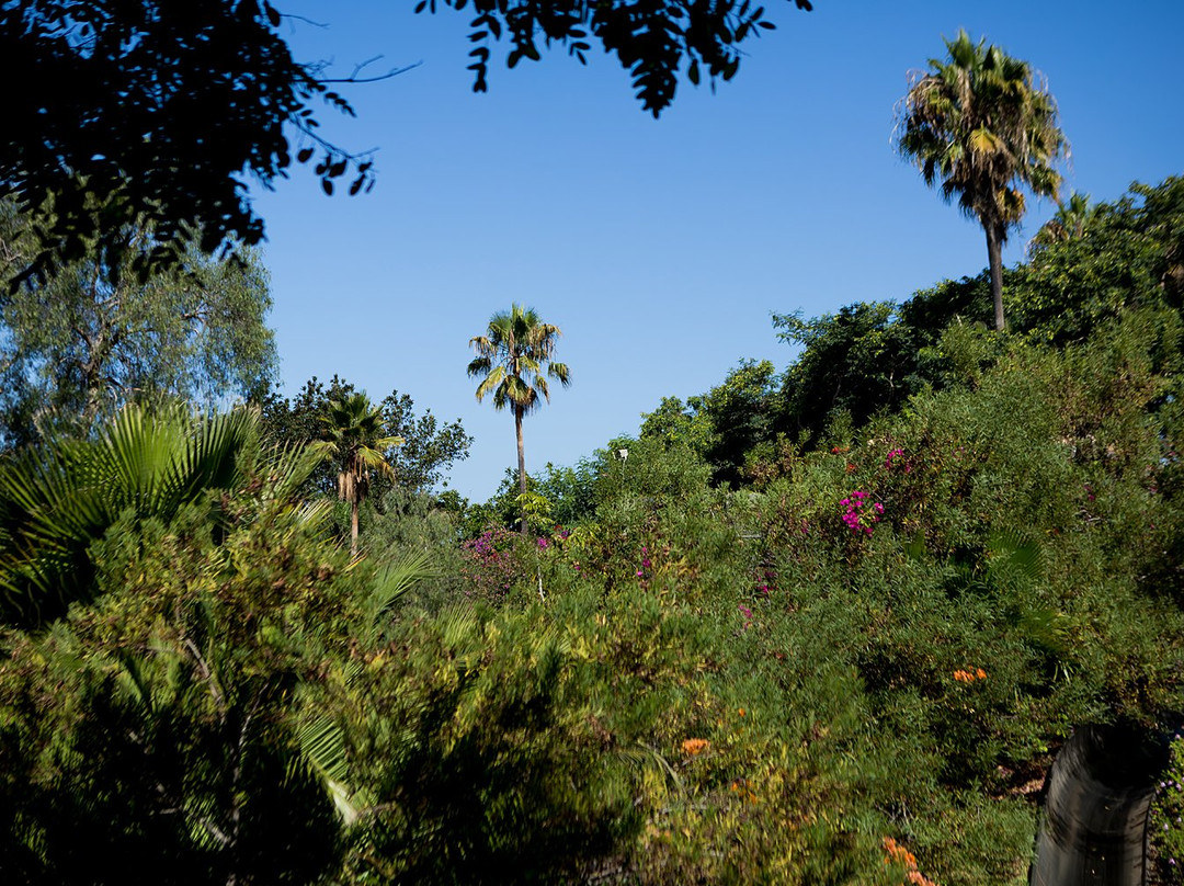 Parque Ecologico Las Aguilas del Teide-特纳里夫必去景点
