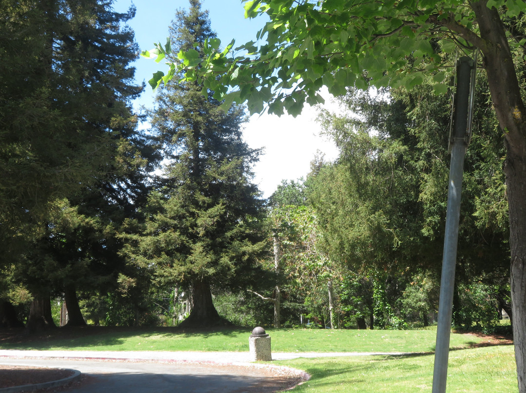 Central Park-圣克拉拉必去景点