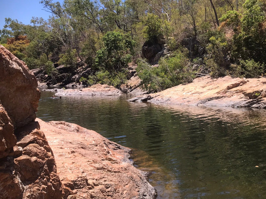 Bowling Green Bay National Park-Alligator Creek必去景点