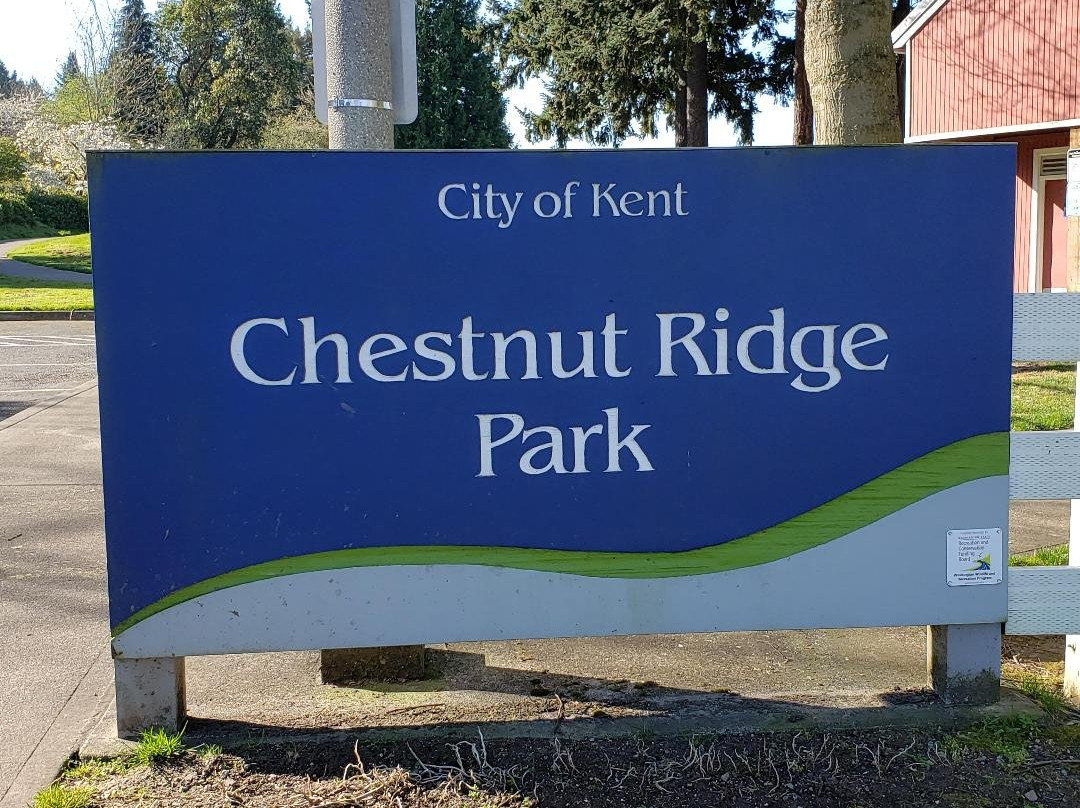 Chestnut Ridge Park-肯特必去景点