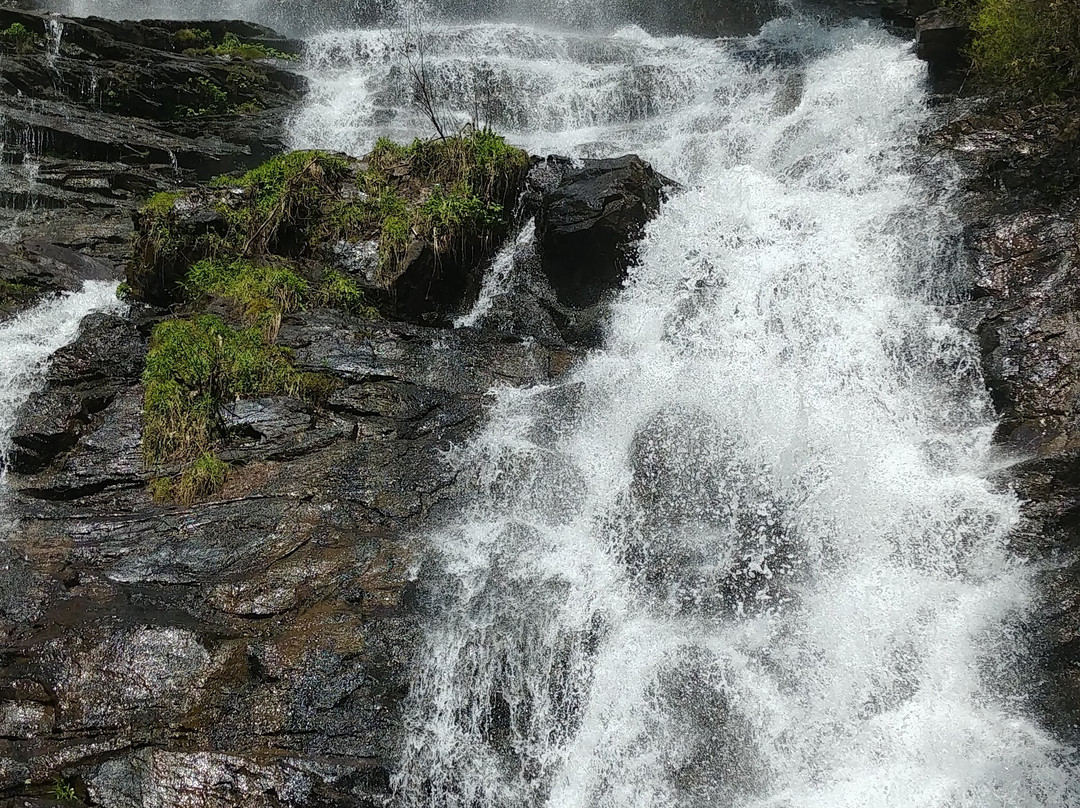 West Ridge Spring Trail-道森维尔必去景点