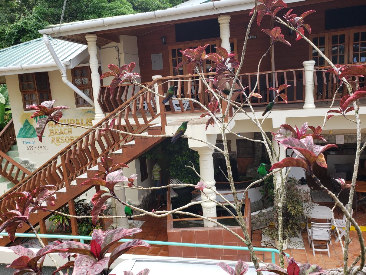 The Naturalist Beach Resort-浴室