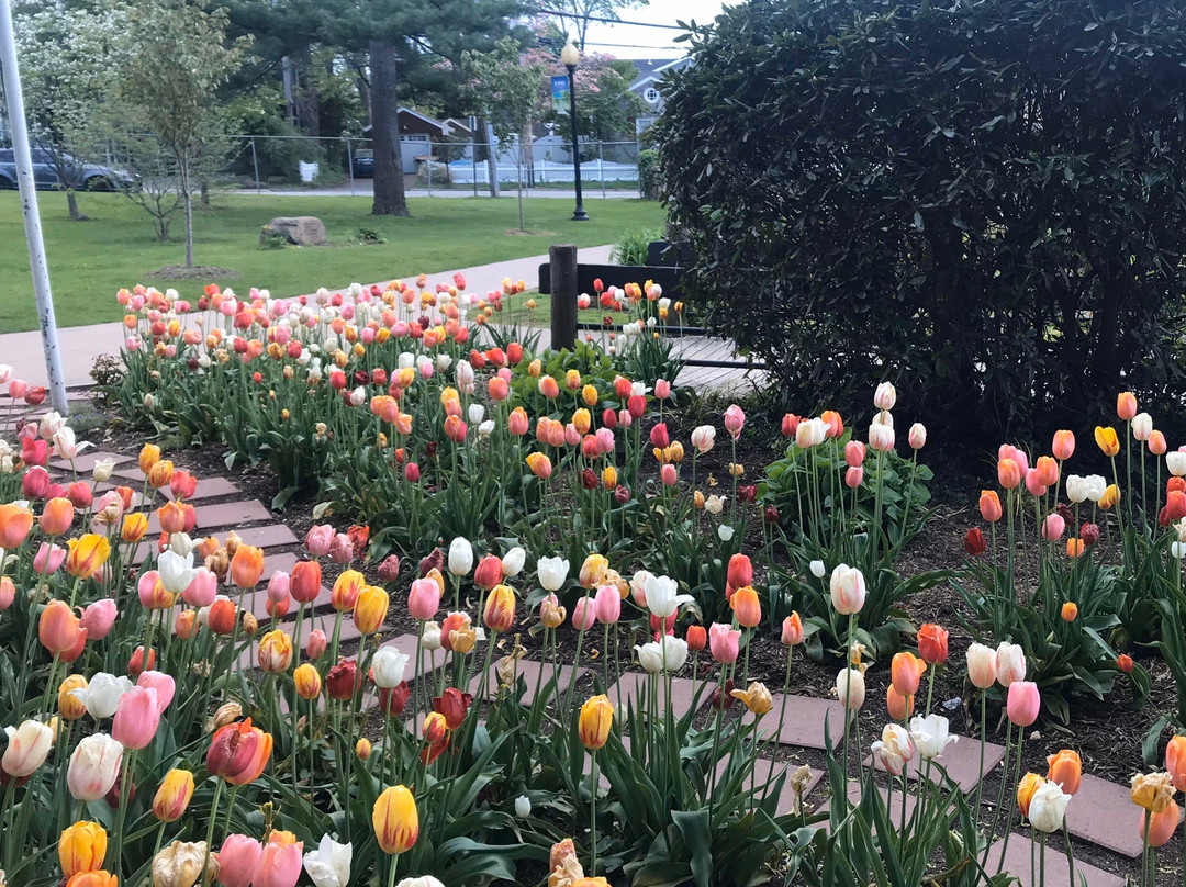 Heckscher Park-亨廷顿必去景点