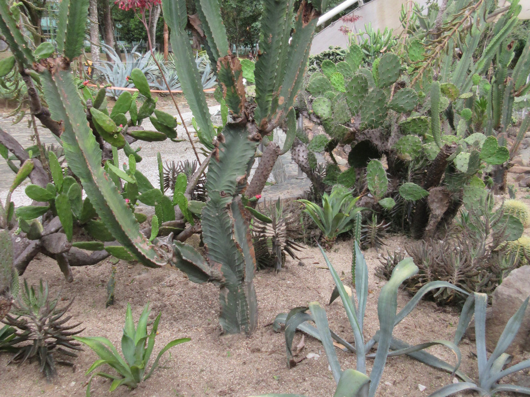Jardín Botánico de Medellín-麦德林必去景点