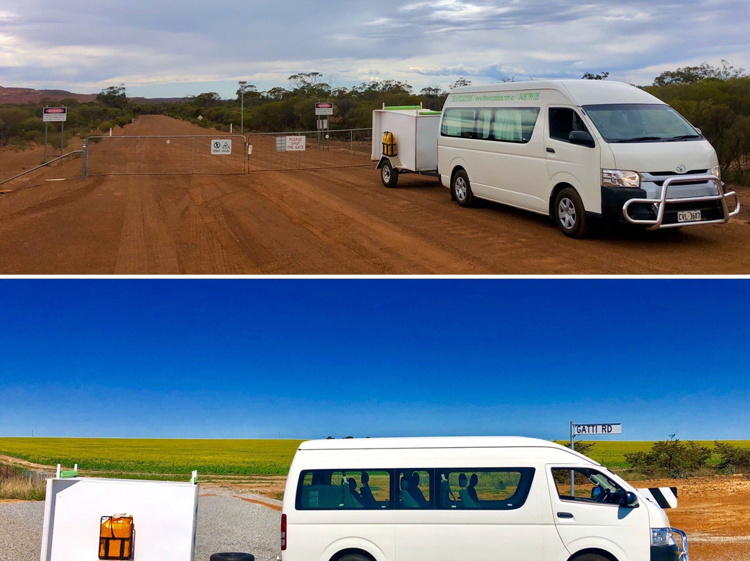 The Avocado Bus - Bus and Driver Service!景点图片