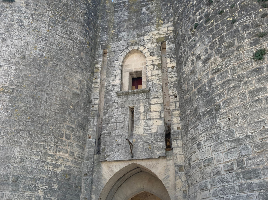 Towers and Ramparts of Aigues-Mortes景点图片