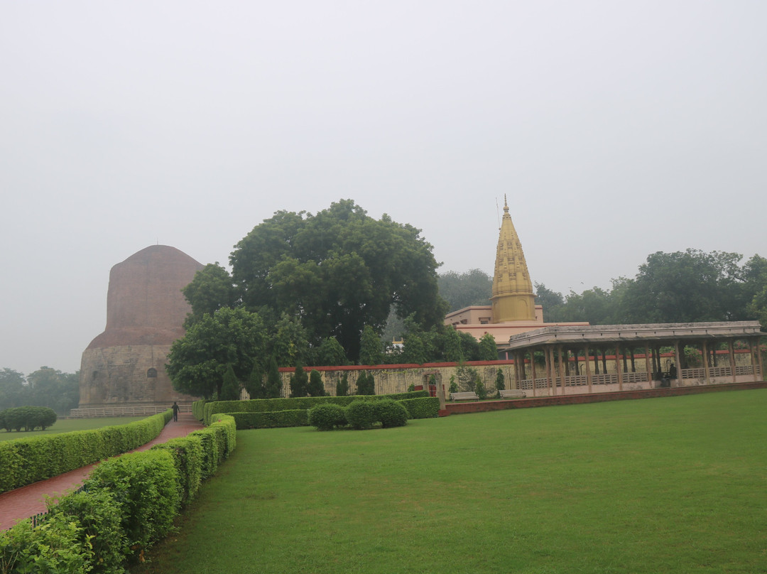 Dhamek Stupa景点图片