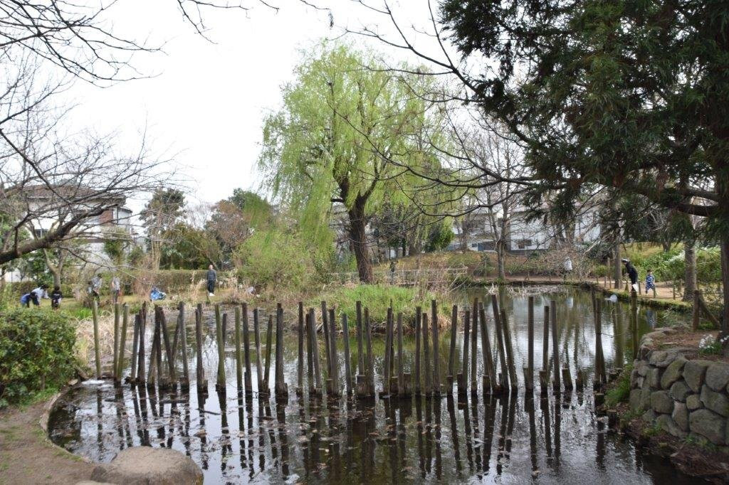 Maruike Park景点图片