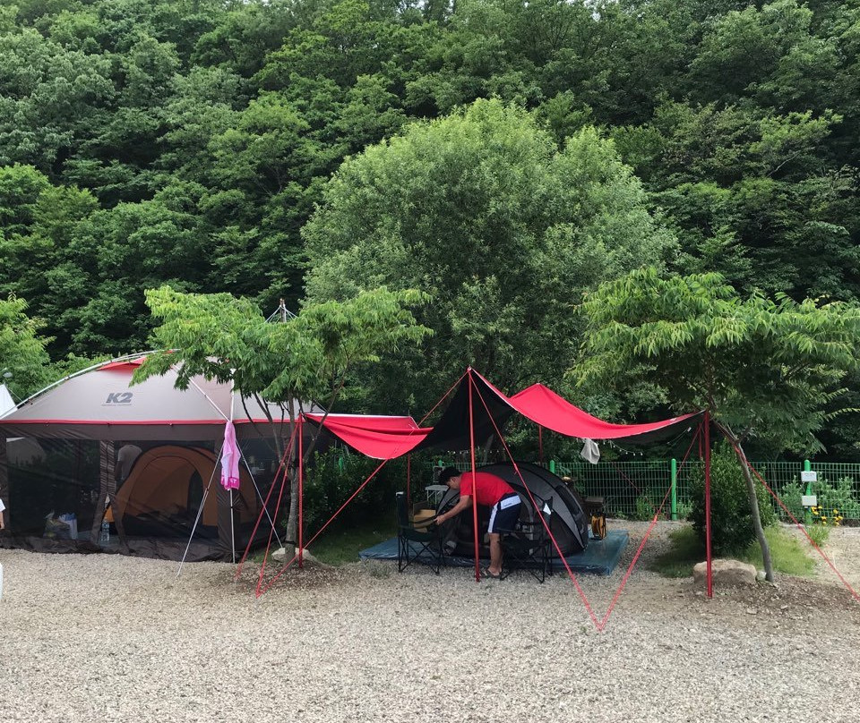 The Starry Night Pension&Camping主图