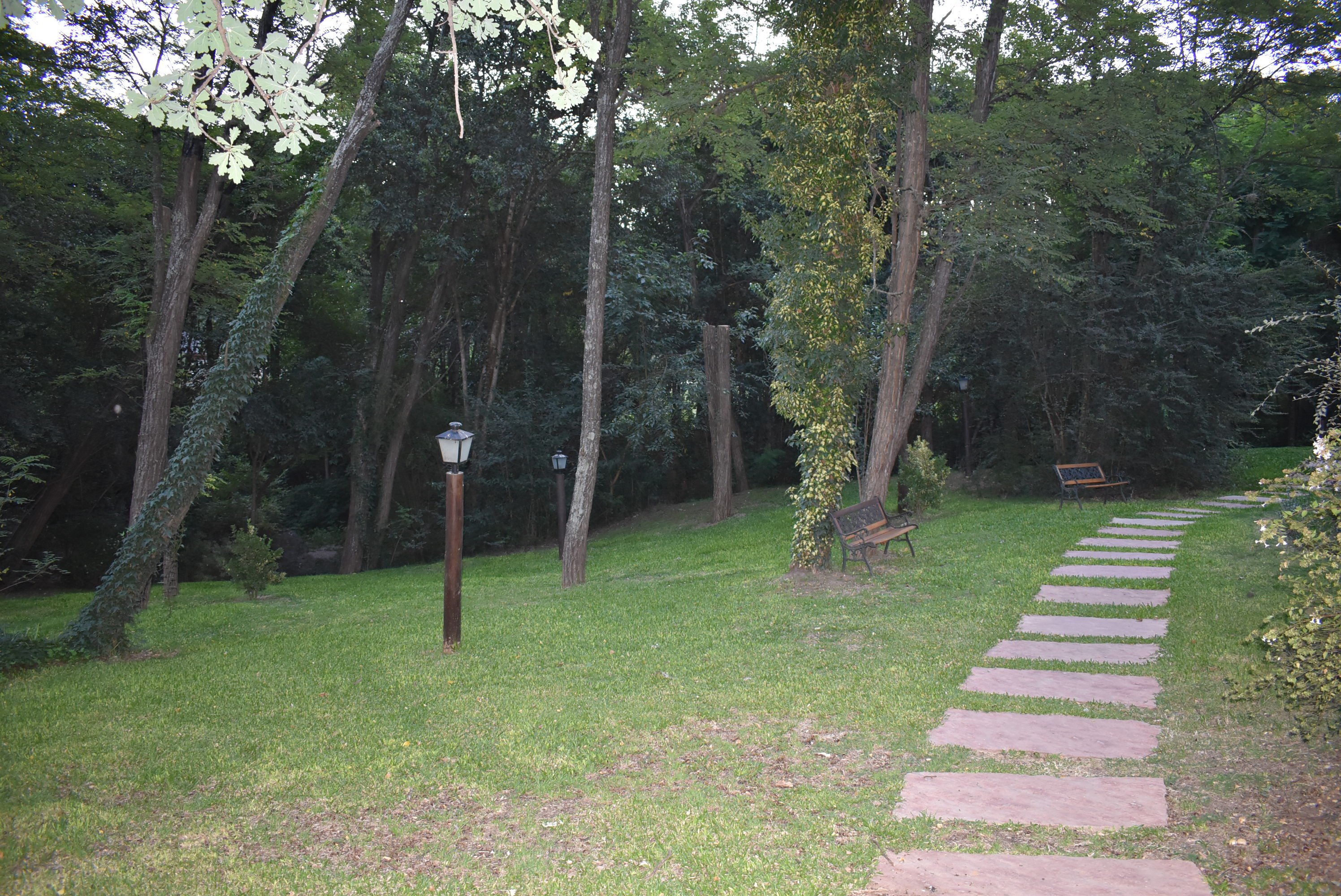Posada del Sauce-家庭/游戏区