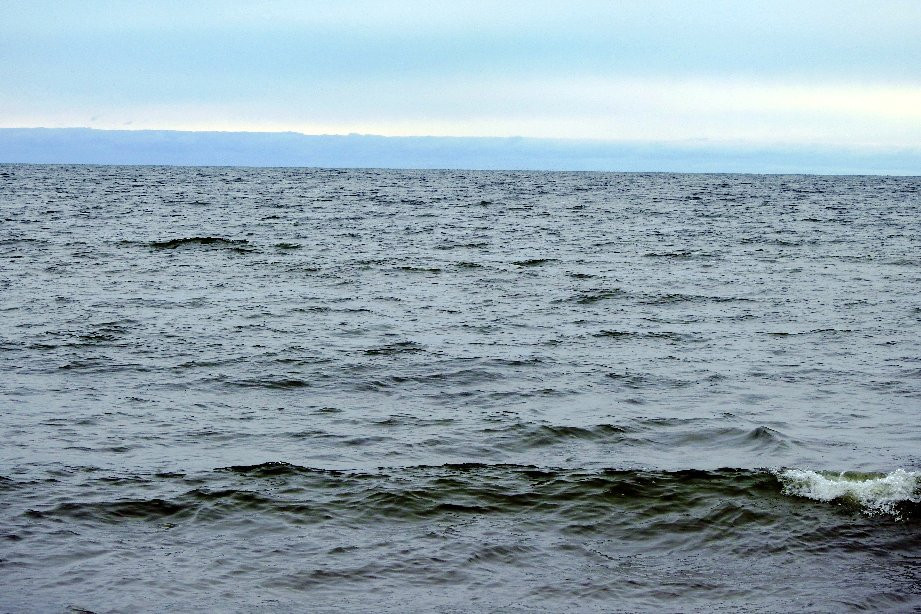 Kirk Park-West Olive必去景点