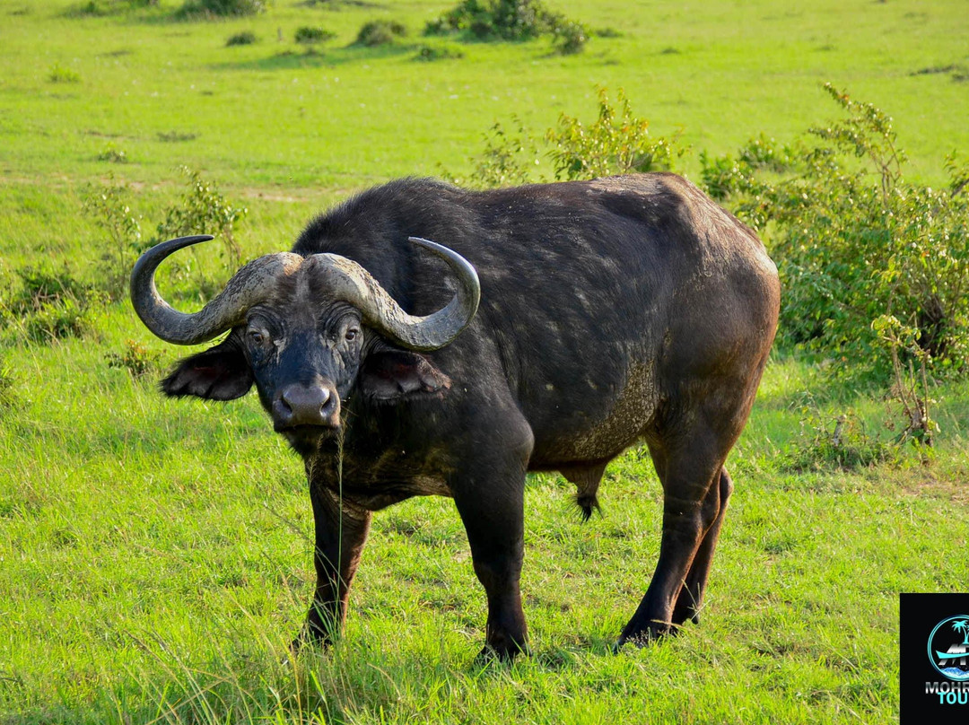 MOHRALE TOURS $ TRAVEL-Eldoret必去景点