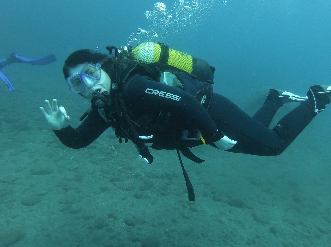 Top Diving Gran Canaria-波多黎各必去景点