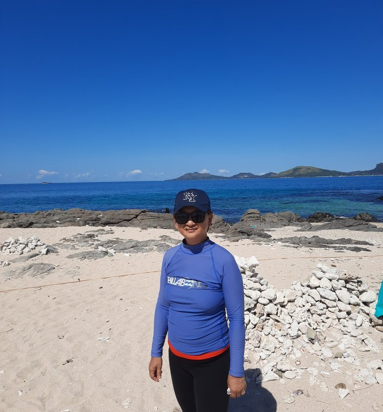 Pulupandan Island景点图片
