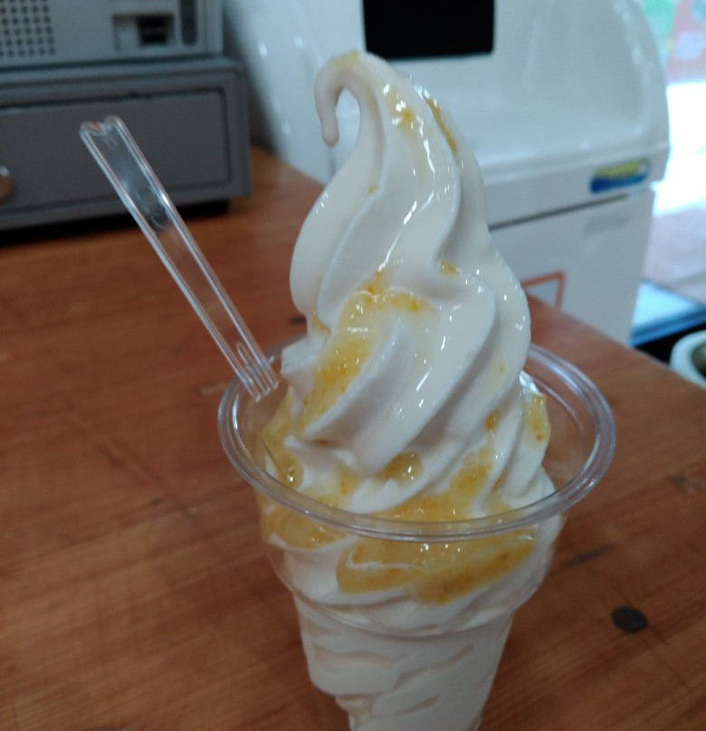 Michi-no-Eki Sueyoshi-曾于市必去景点