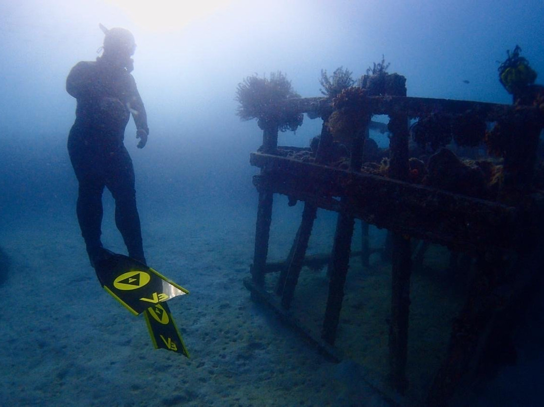 SCUBA BUDDY SIPADAN景点图片