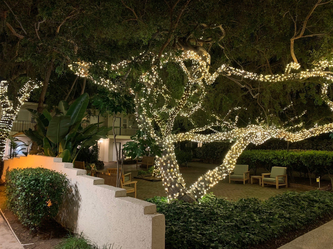 Optimum Health Institute of San Diego-Lemon Grove必去景点