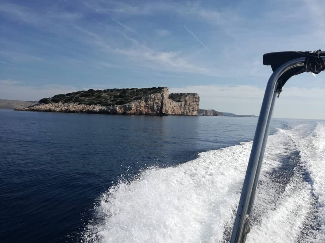 Taxi Boat Adria-佛迪赛必去景点