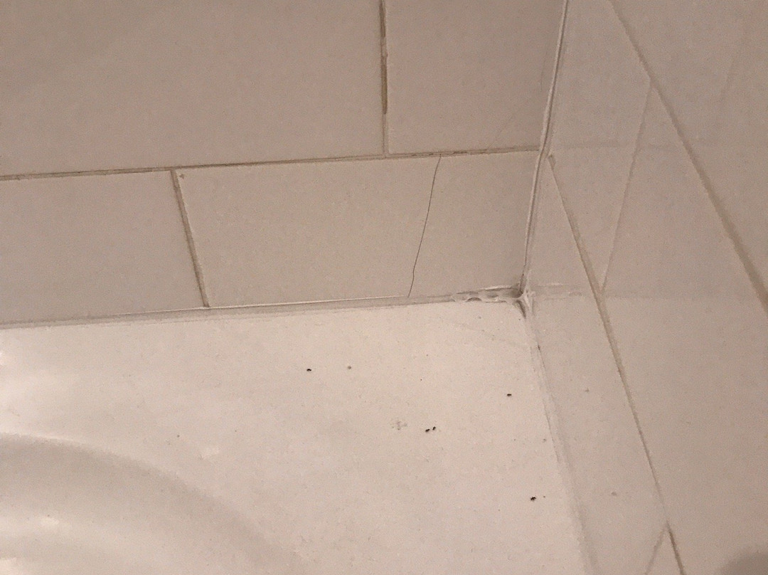 St. Francis Winery主图