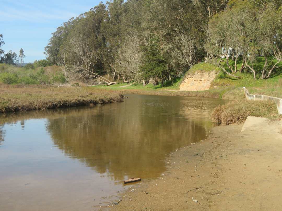 Moore Creek Wildlife Preserve-圣克鲁斯必去景点