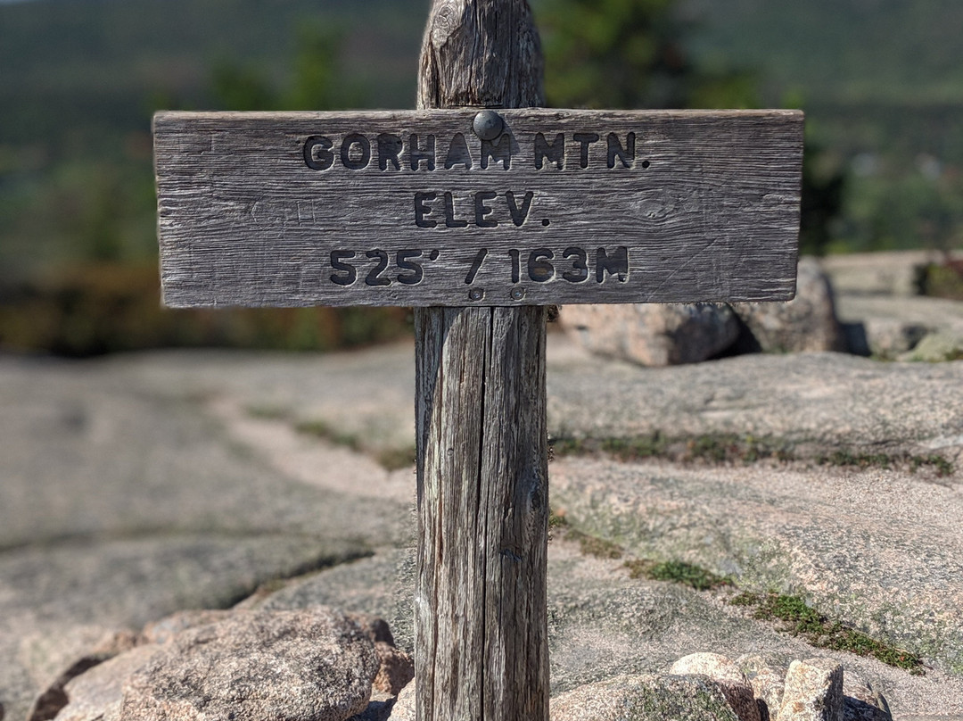 Gorham Mountain Trail景点图片