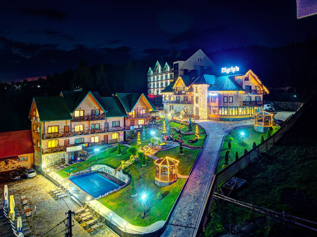 Hotel Podgore Spa & Resort主图