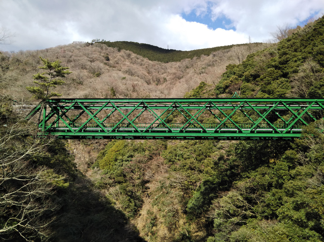 Deyama Railway Bridge景点图片