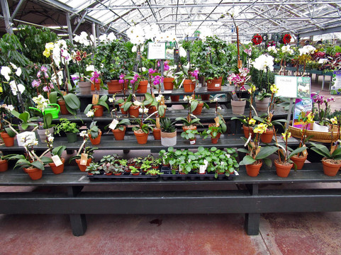 The Farm At Green Village-Green Village必去景点